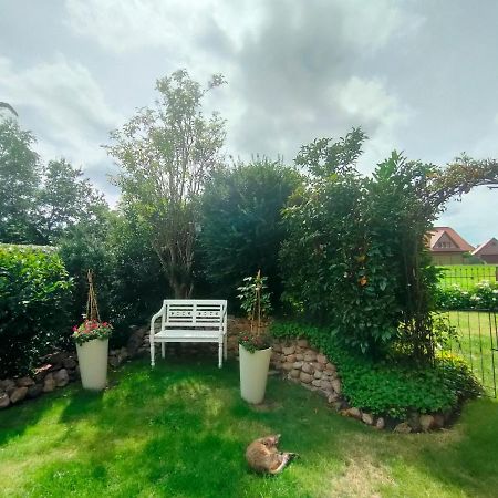 Luana'S White Cottage Surwold Bagian luar foto
